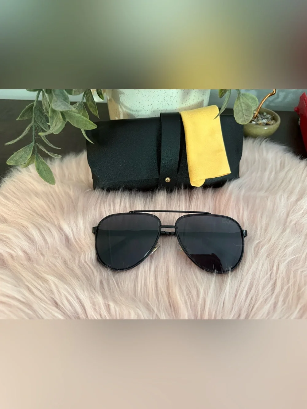 Men's Black Aviator Sunglasses with Protective Case